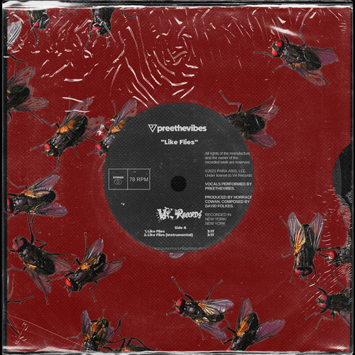 Preethevibes- Like Flies (Track Review)