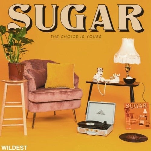 Wildest- Sugar (The Choice Is Yours) [Track Review]