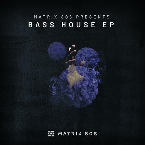 Matrix 808- Come on (Track Release)