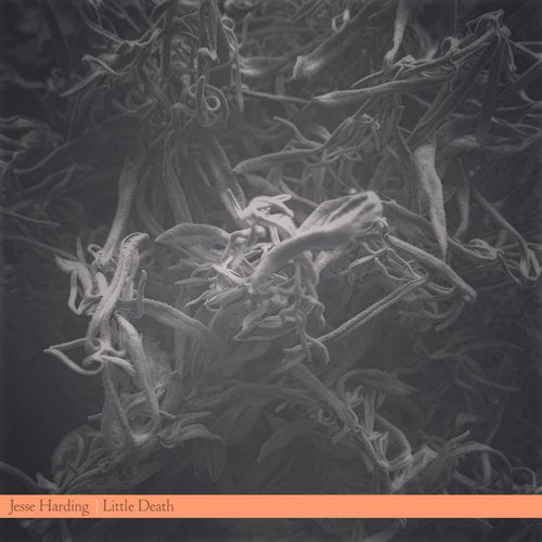 Jesse Harding- Box (Track Review)