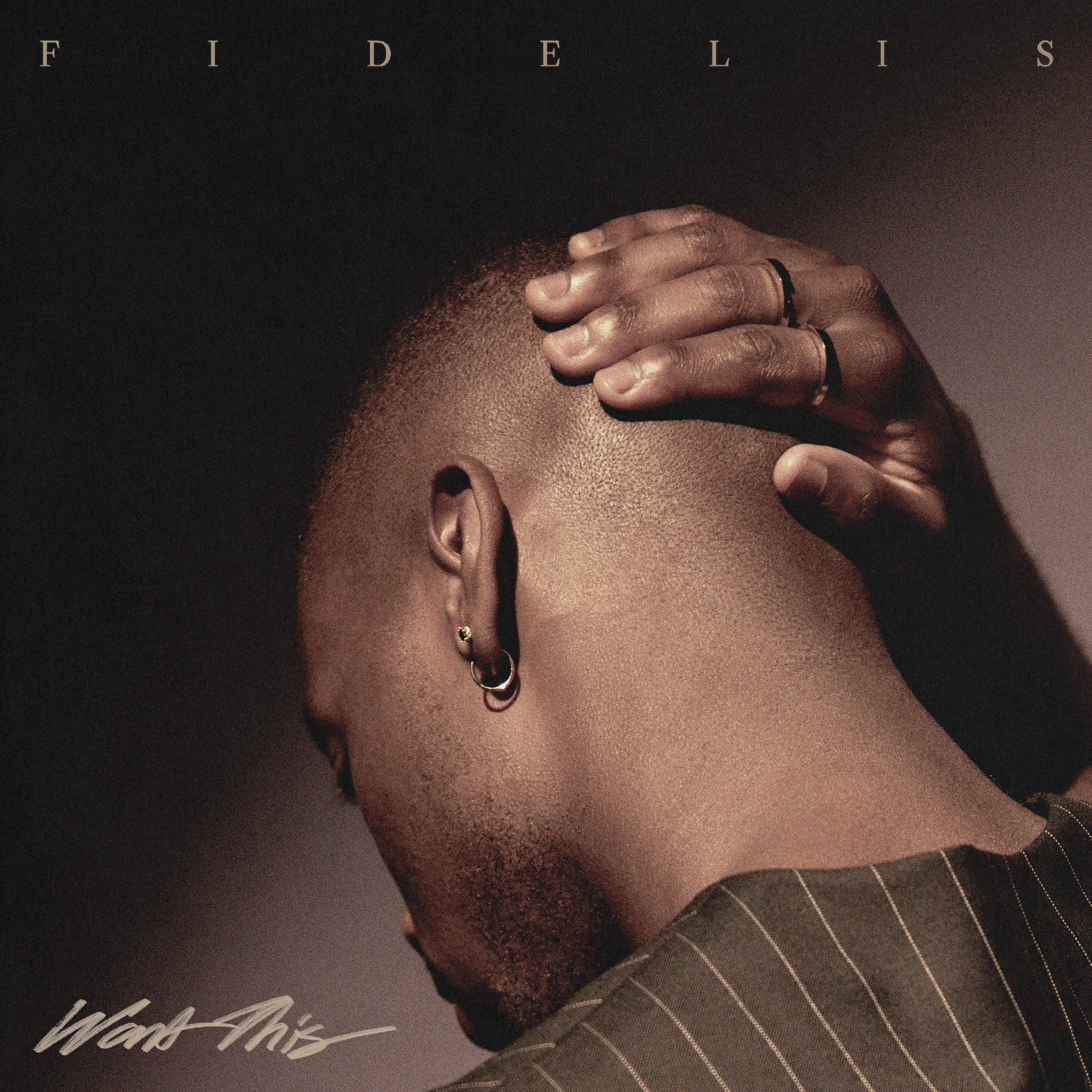 Fidelis- Want This (Track Review)