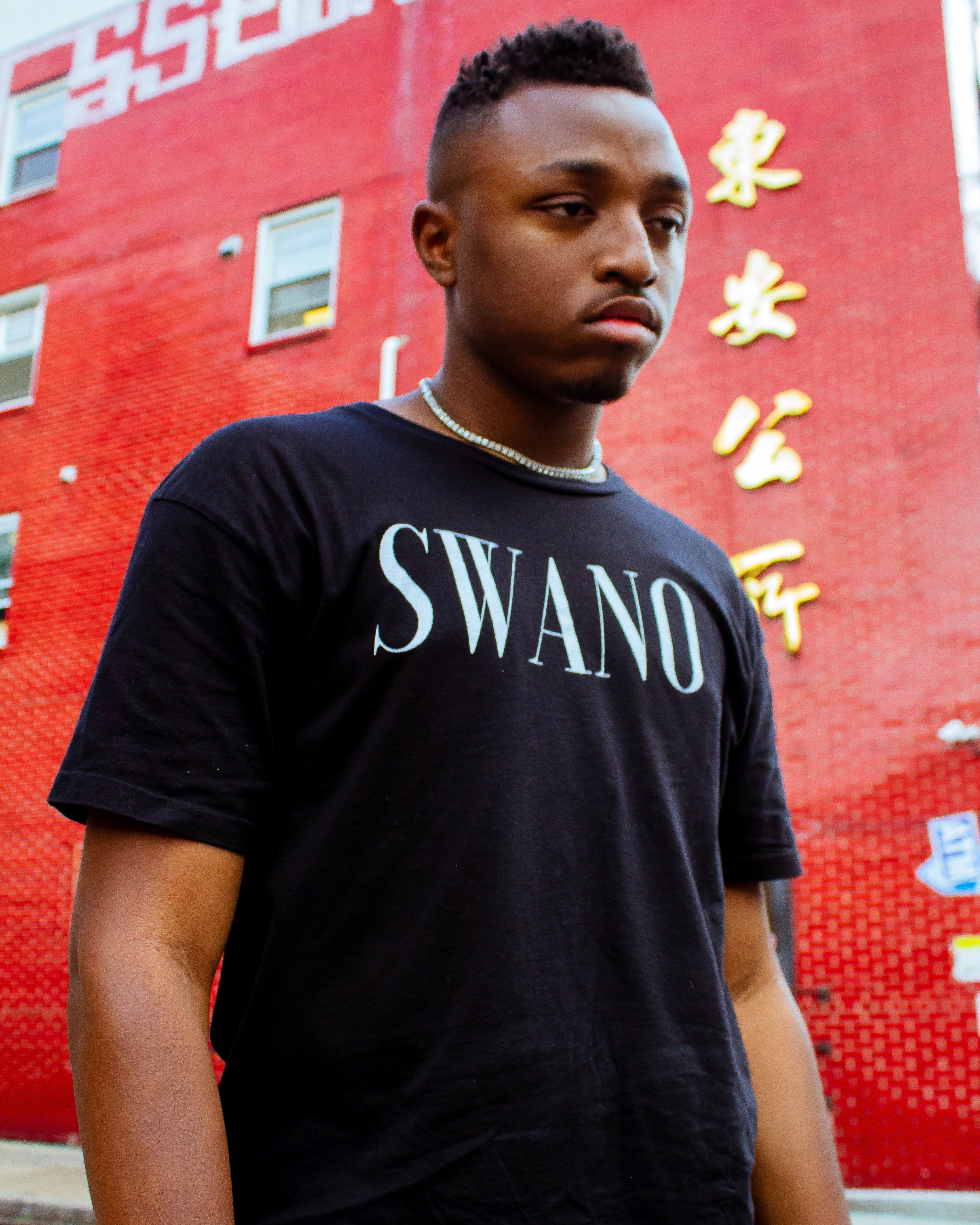 Long Black Swano T