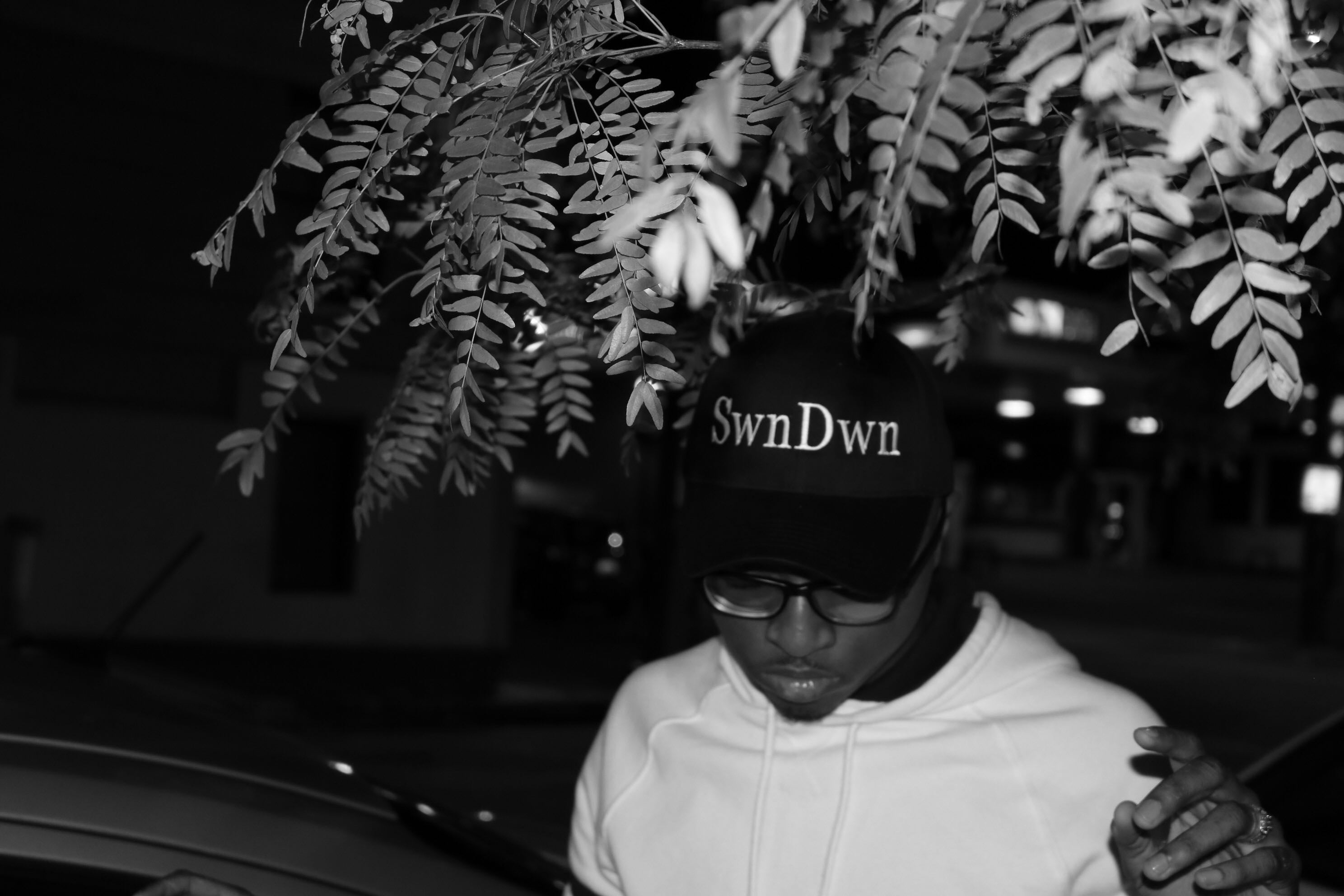 SwnDwn Dad Hat - SwanoDown